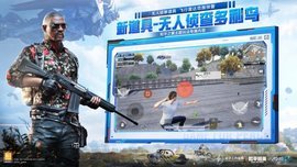 和平精英小黄鸡辅助
