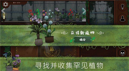 奇异园艺花朵纸条