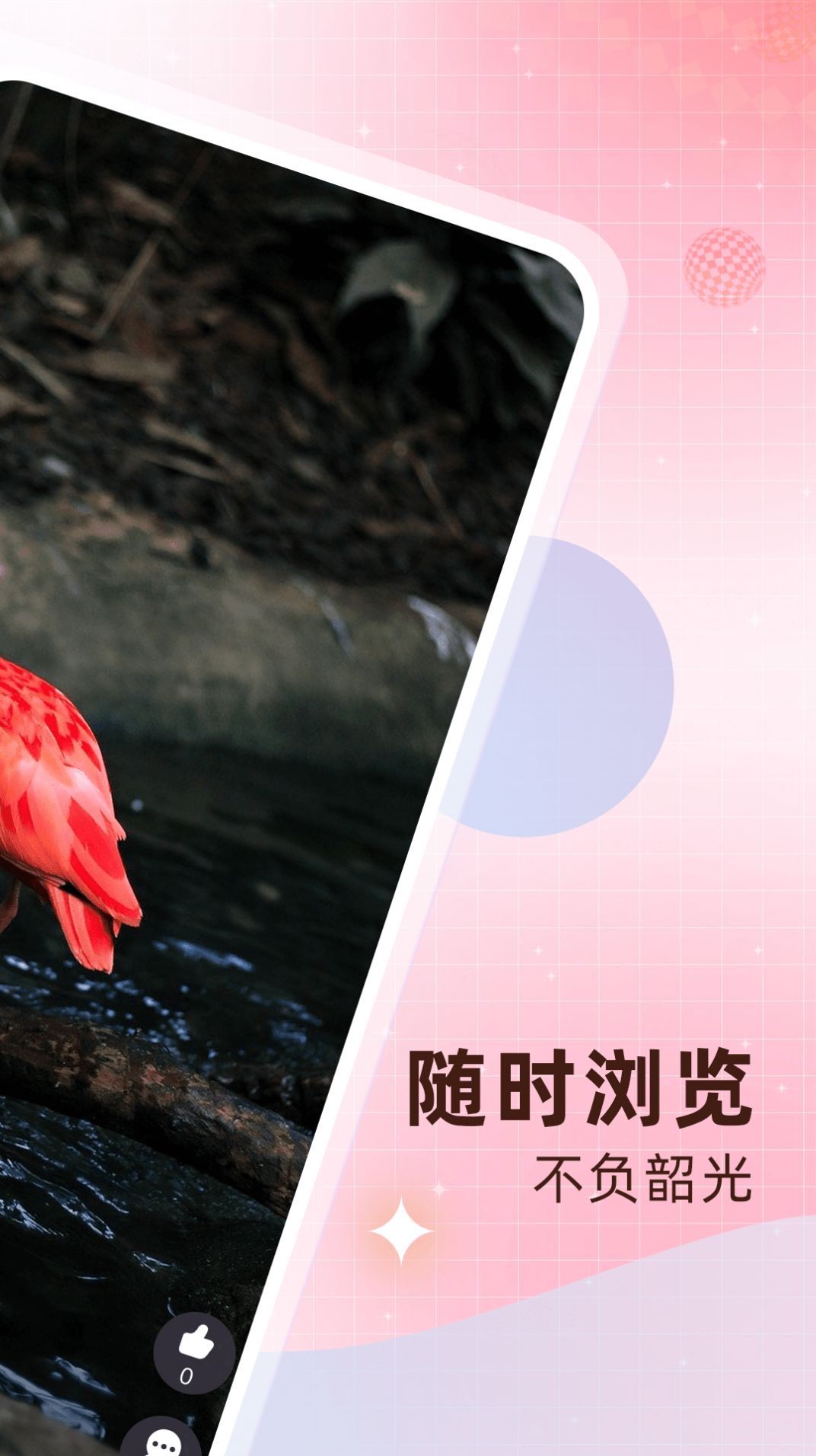 柚刷刷