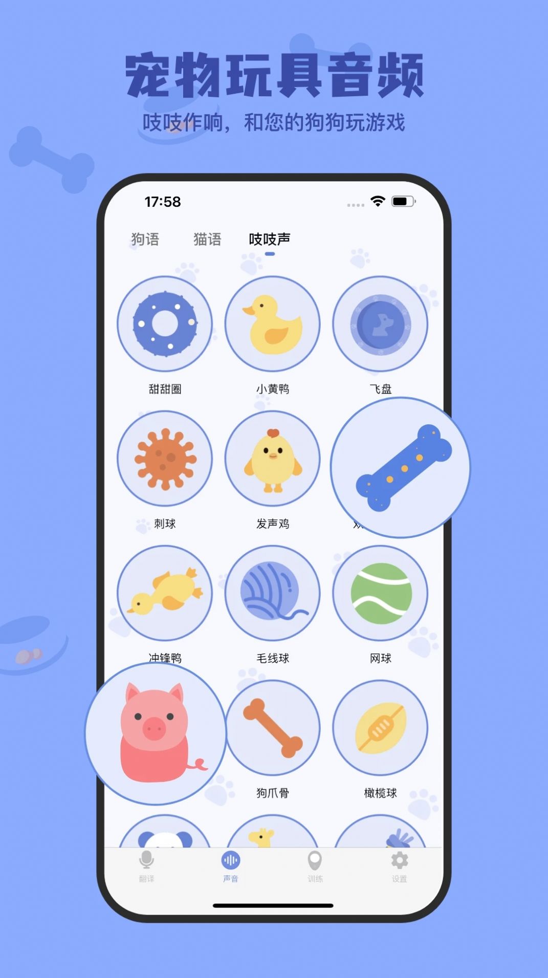 小白交流翻译软件下载安装