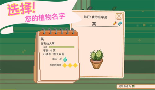 窗边花园中文版