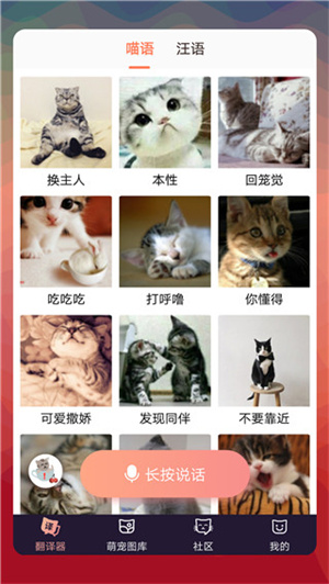猫语翻译器免费版