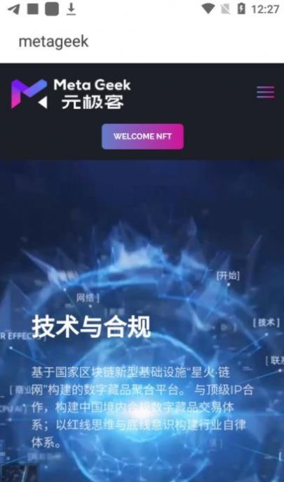 元极客