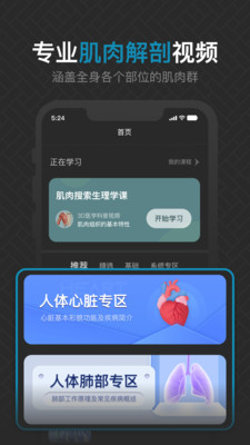3D肌肉解剖软件