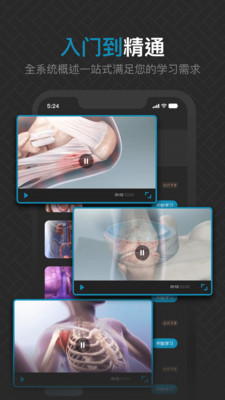 3D肌肉解剖软件