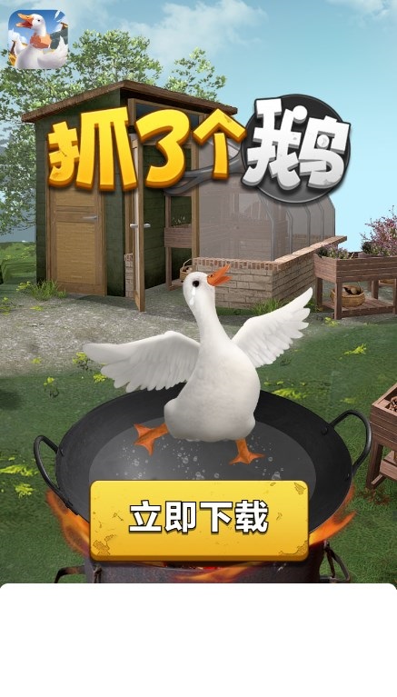 抓了个鹅