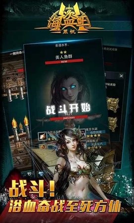 海盗王游戏安卓版下载