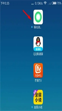 绿光浏览器手机版下载