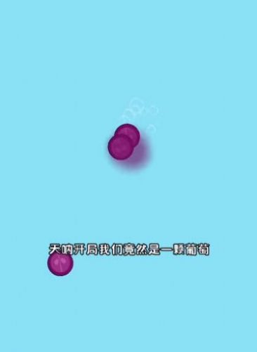 水果乐翻天红包版