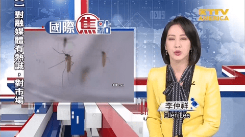 四季TV安卓版