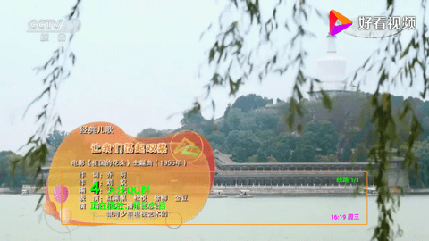 港澳台终极版tv版