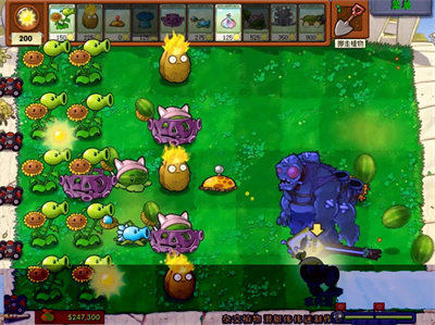 pvz杂交版随机盲盒模式
