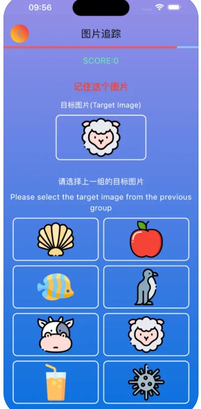 图图追踪