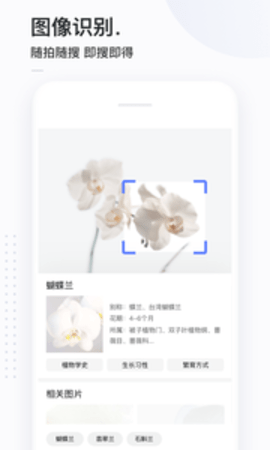 简单搜索app下载安装