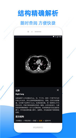 影像解剖图谱电子版