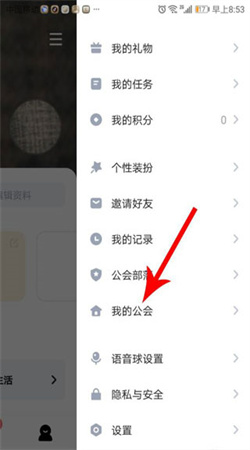 欢游tt语音app下载