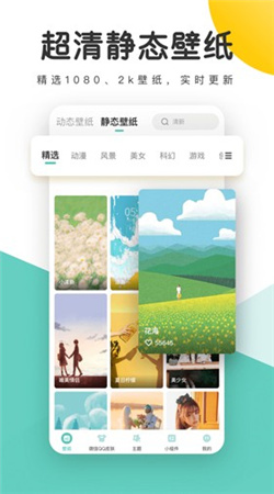 蜻蜓壁纸下载手机版