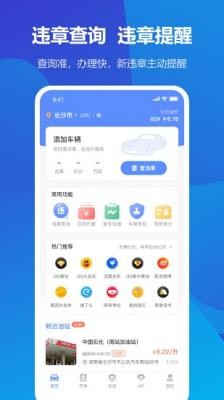 123123违章查询平台安卓版下载