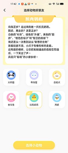 dd星球虚拟社交