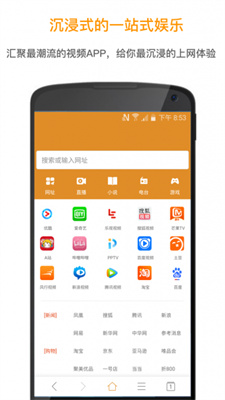 欢欢浏览器谷歌版