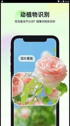 智能识万物app下载