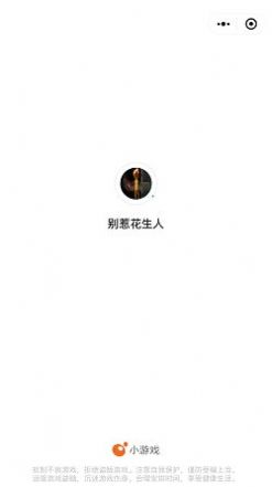 别惹花生人游戏