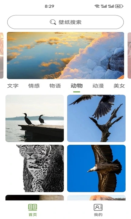 白叶壁纸手机版