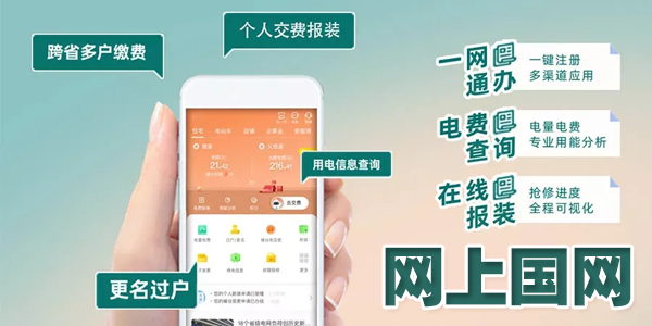 网上国网