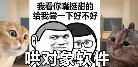 哄对象app下载