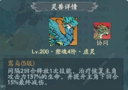 寻道大千鸾鸟双奶宠流怎么搭配 鸾鸟双奶宠流精怪武器灵脉推荐图片1