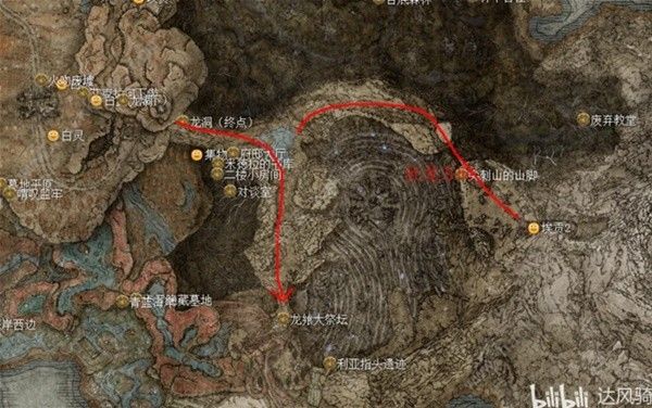 艾尔登法环DLC落叶丹恩支线怎么过 DLC落叶丹恩支线任务通关攻略图片3