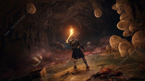 艾尔登法环DLC癫火之王咋过 DLC癫火之王无伤打法攻略图片1