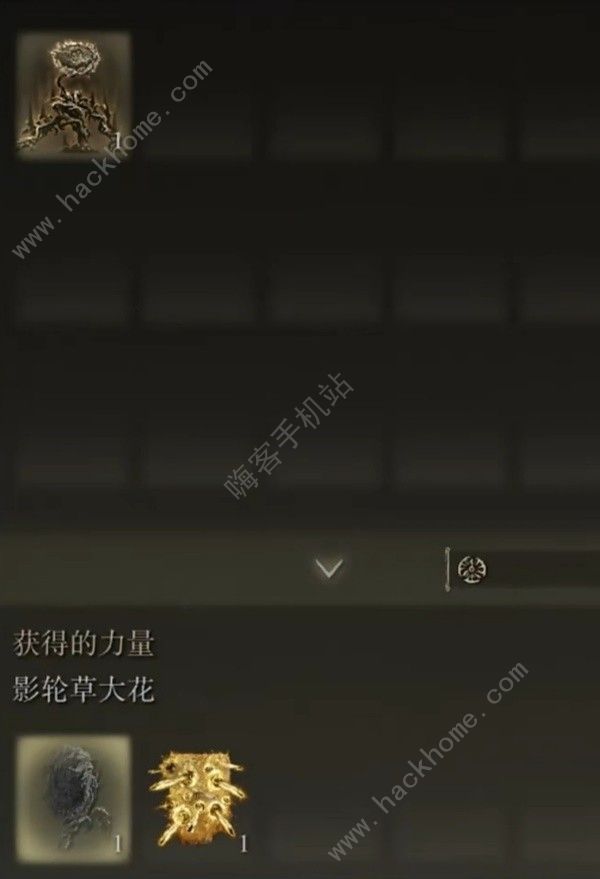 艾尔登法环DLC强力特大武器有哪些 DLC特大武器最强力推荐图片3