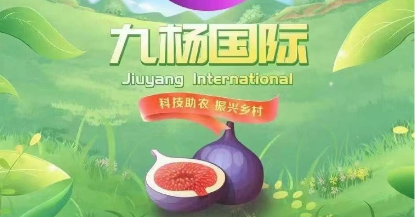 九杨国际