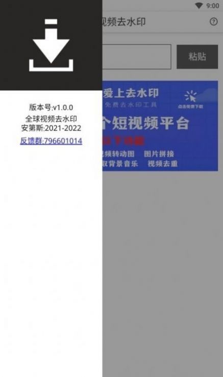 全球视频去水印软件