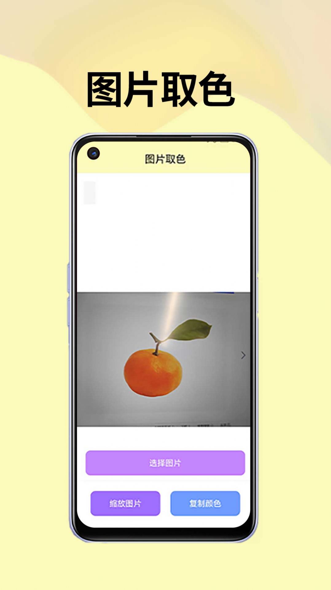 皮皮袋