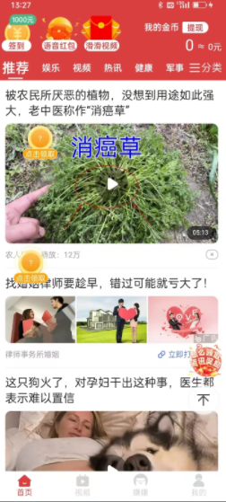 淘乐玩