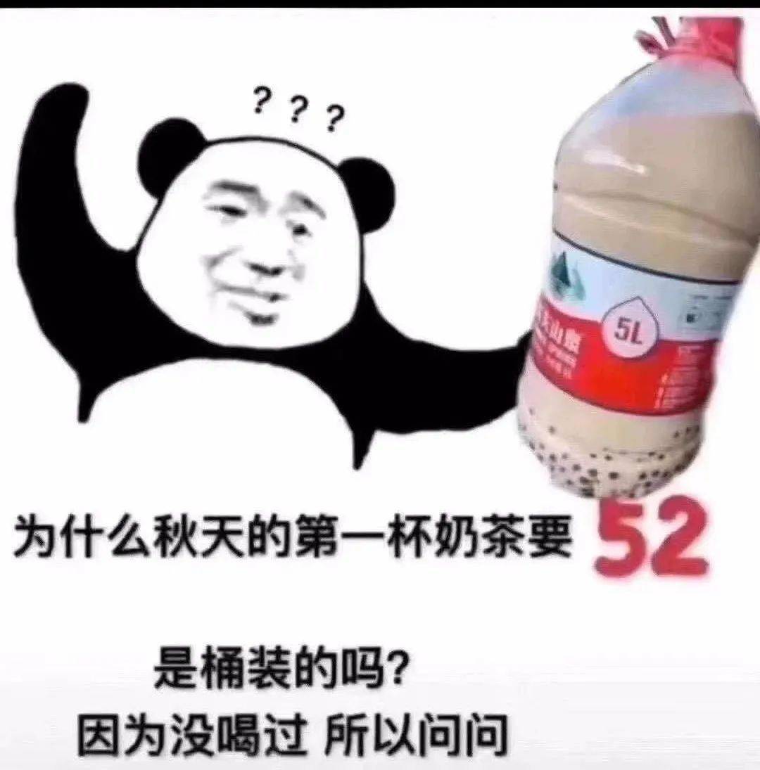 谁来安排秋天第一杯奶茶