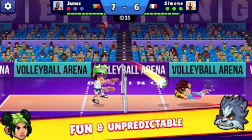 Volleyball