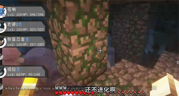 萌萌宝可梦游戏