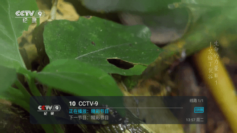 瑶瑶TV