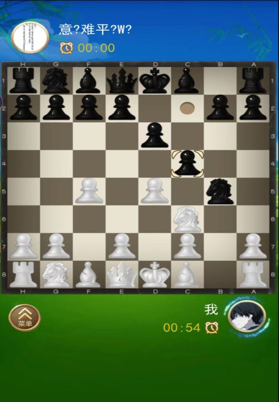 国际象棋双人版