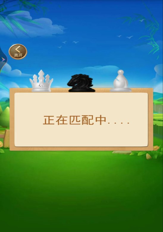 国际象棋双人版
