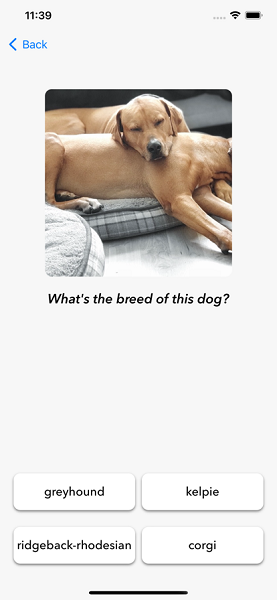 Puppy