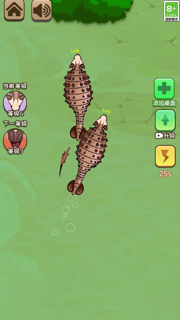 神龙超进化游戏