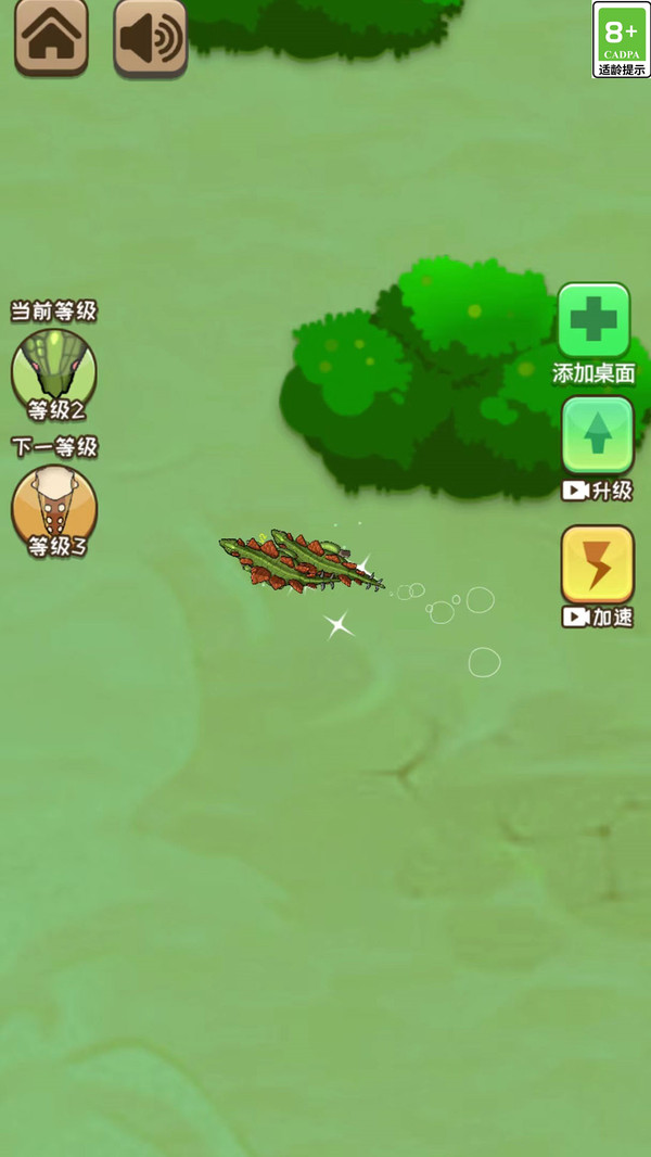 神龙超进化游戏