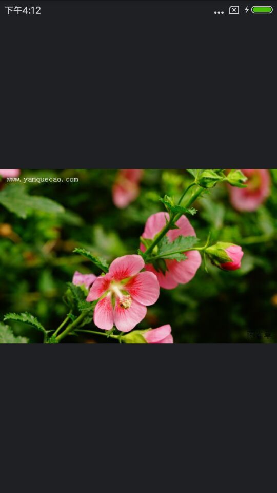 植物百科app最新版