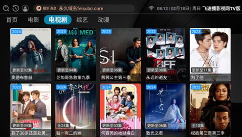 飞速播影视网TV版