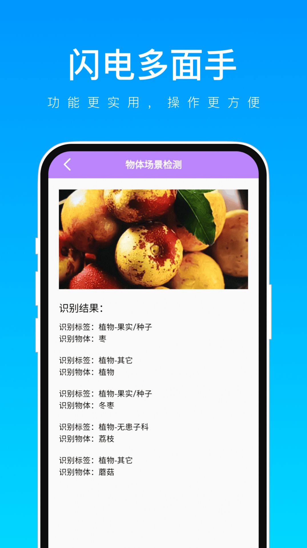 闪电多面手软件