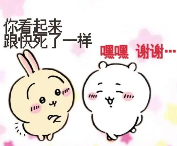 chiikawa表情包